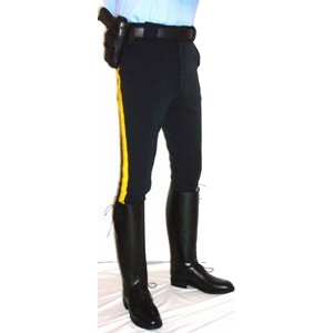 Breeches