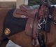 Tek's Police - Polk Co Sheriff, FL-  Saddle Pads